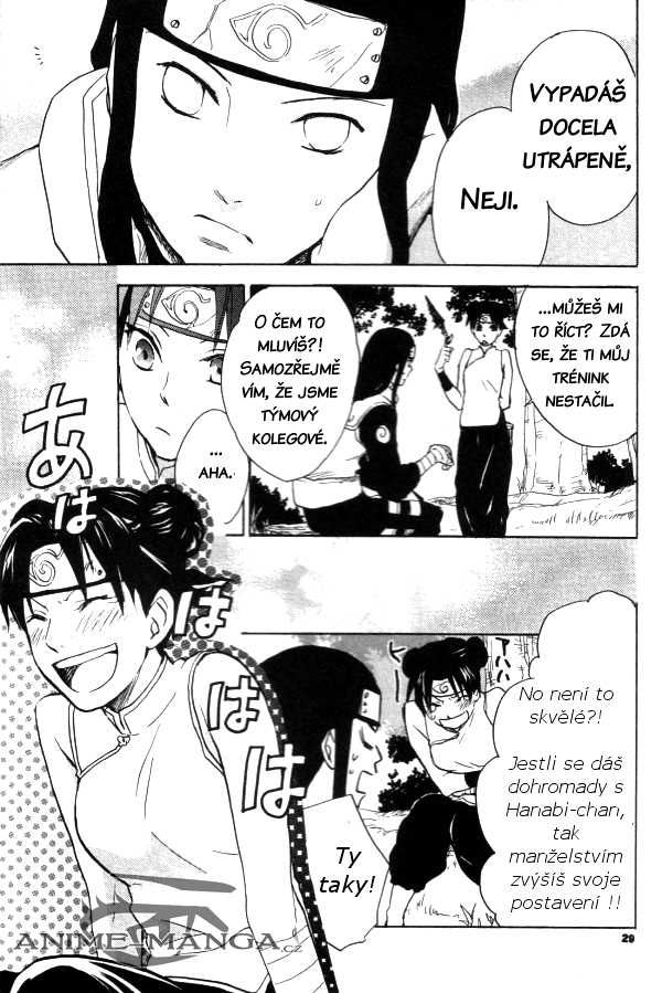 5560_Oneshot_BKFHS_page11 kopie.jpg